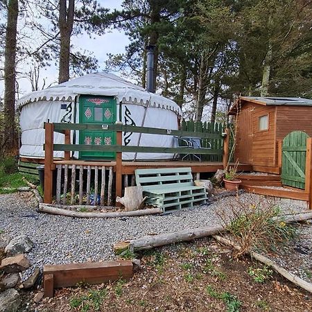 The Tall Pines Yurt Helmsdale Ngoại thất bức ảnh