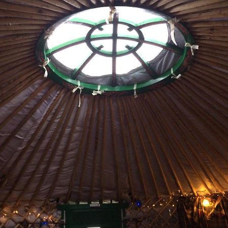 The Tall Pines Yurt Helmsdale Ngoại thất bức ảnh