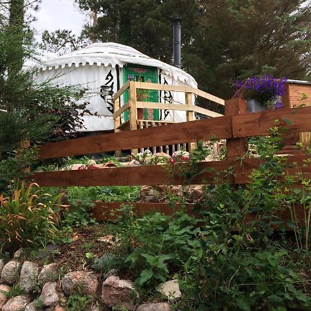 The Tall Pines Yurt Helmsdale Ngoại thất bức ảnh