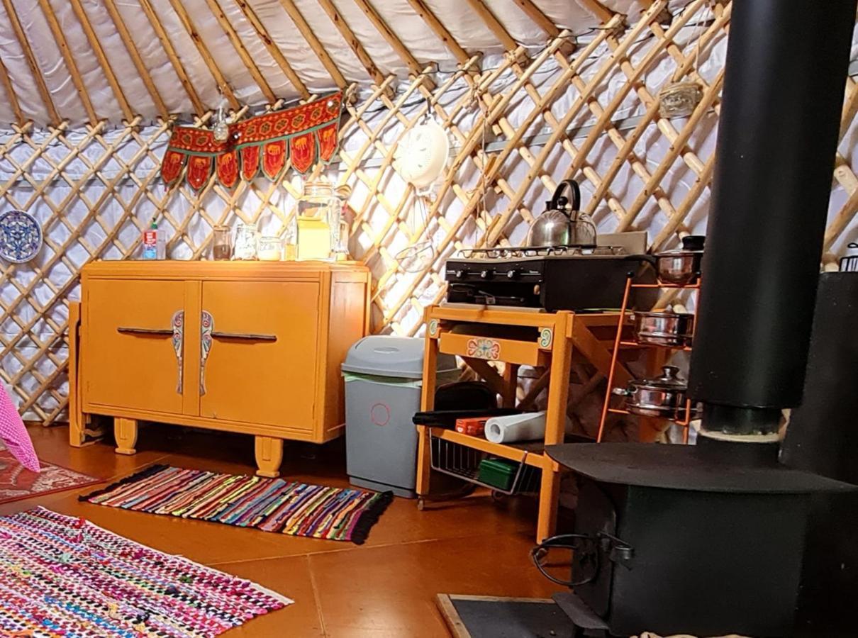 The Tall Pines Yurt Helmsdale Ngoại thất bức ảnh