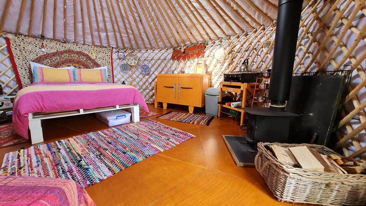The Tall Pines Yurt Helmsdale Ngoại thất bức ảnh
