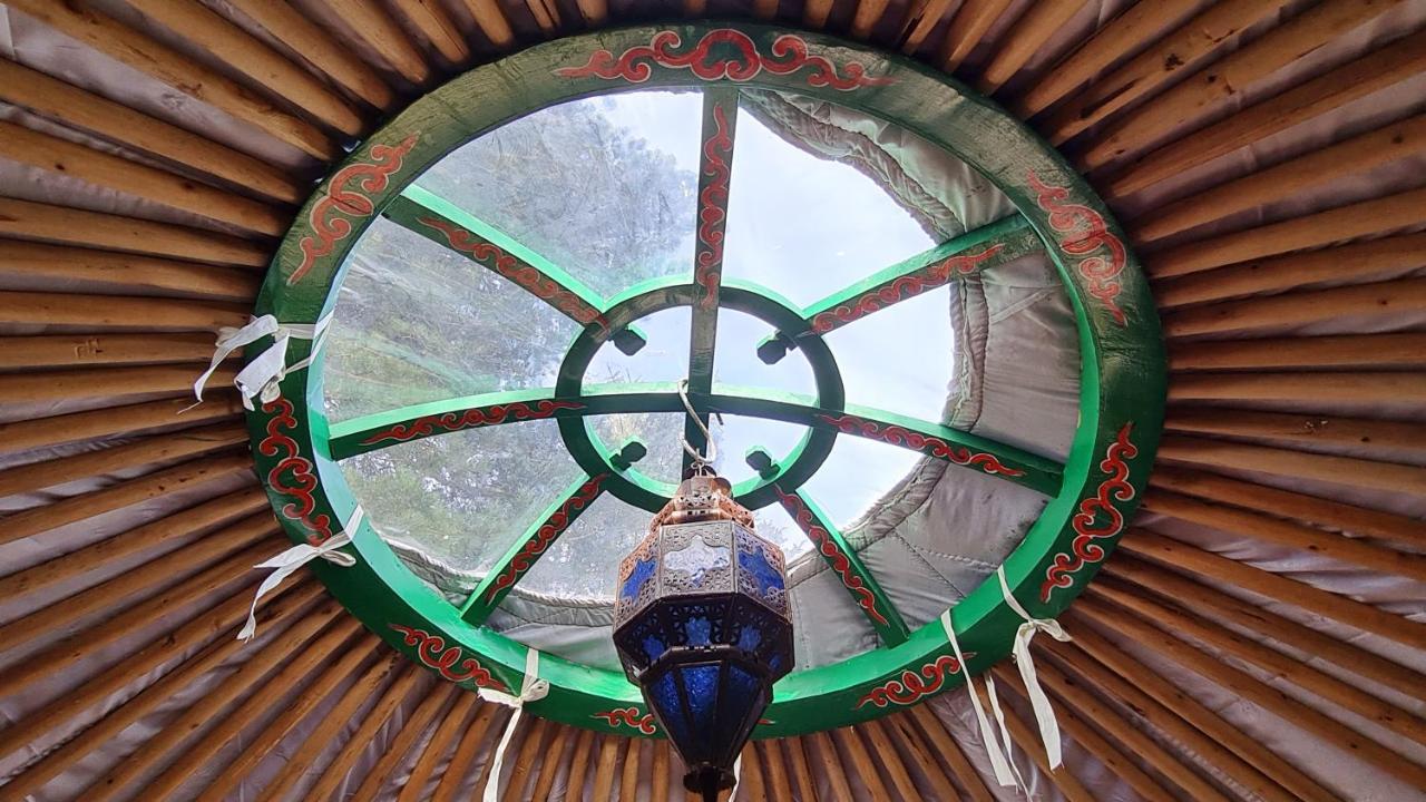 The Tall Pines Yurt Helmsdale Ngoại thất bức ảnh