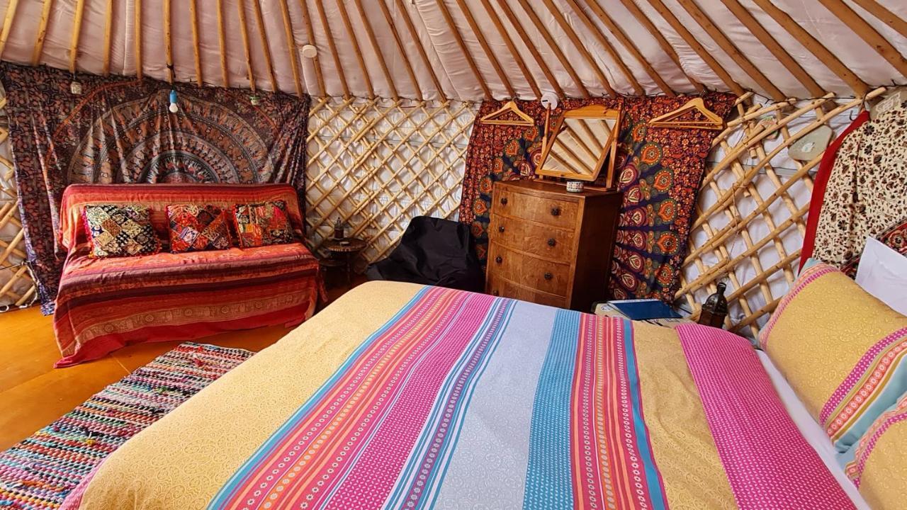 The Tall Pines Yurt Helmsdale Ngoại thất bức ảnh
