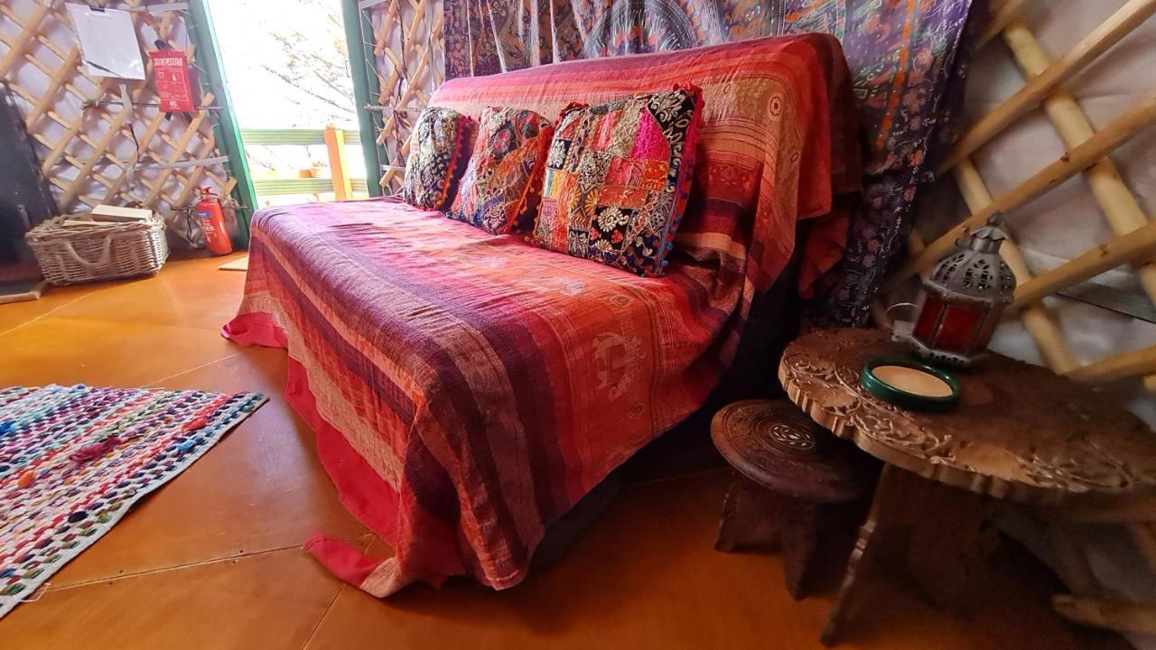The Tall Pines Yurt Helmsdale Ngoại thất bức ảnh