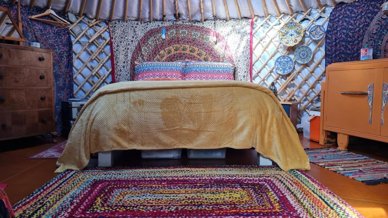 The Tall Pines Yurt Helmsdale Ngoại thất bức ảnh