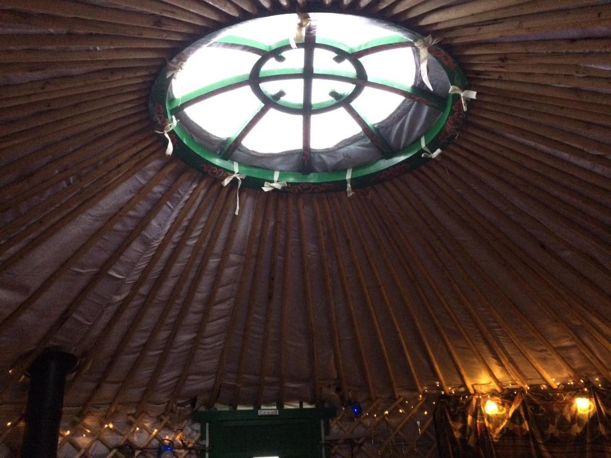 The Tall Pines Yurt Helmsdale Ngoại thất bức ảnh