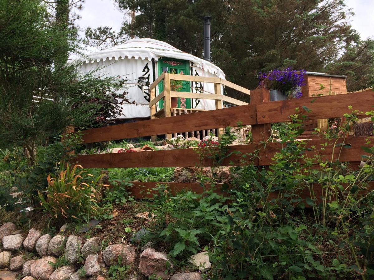 The Tall Pines Yurt Helmsdale Ngoại thất bức ảnh